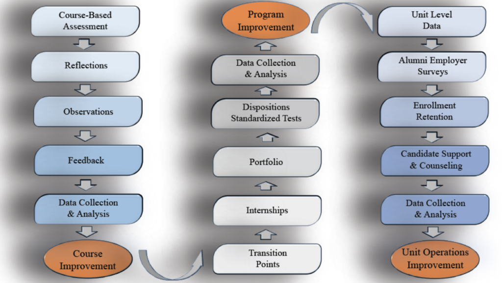 Figure outlines what is explained in text above. 